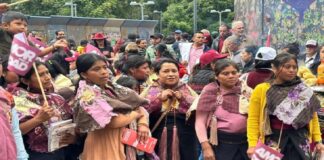 Mujeres no fueron tomadas en cuenta en la asignación presupuestaria para pueblos indígenas y afromexicanos.