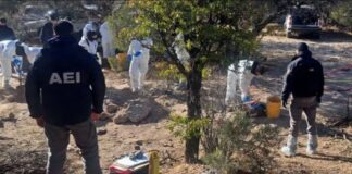 Hallan 72 cuerpos en 38 fosas clandestinas en Chihuahua.