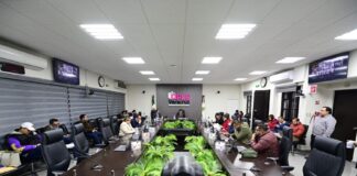 OPLE Veracruz aprueba derecho a registrarse a una Candidatura Independiente en elección de Ayuntamiento