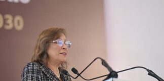 Resulta “raro” que administraciones anteriores no repararan en instalación ilegal de cámaras de videovigilancia en ciudades de Veracruz: Rocío Nahle