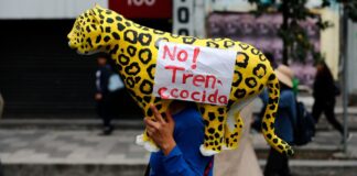 Ejército contrata servicio de monitoreo de medios que hablen sobre el Tren Maya.