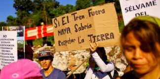 Otorgan suspensión definitiva de los tramos 5 y 7 del Tren Maya.