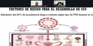 Vesícula extracelular posibilita diagnóstico y tratamiento del Cacu.