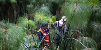 Realizan acciones de limpieza en los Lagos en Xalapa