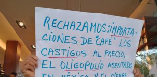 Cafeticultores veracruzanos piden regular los precios de compra del arómatico.