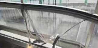 NIÑA ROMINA DAYANA VÍCTIMA DE NEGLIGENCIA DE OBRADOR .