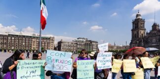 Aumenta ingreso de mujeres a refugios contra violencia, en año con recorte presupuestal.