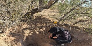 El paraíso de las cuarenta fosas.