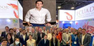 El resto del mundo “tiene un gusto más refinado”, responden camaroneros a Claudia Sheinbaum