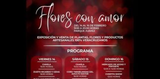 Cultura, amor y diversión, esta semana en Xalapa .