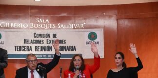 Aprueban dictamen para incluir paridad de género en nombramientos de embajadores