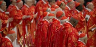 Cónclave, la realidad que parece ficción.