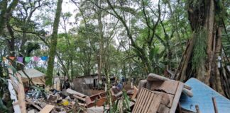 Desalojo a invasores del predio Jinicuil Manso en Coatepec.