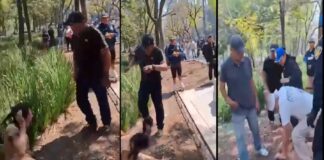 Clara Brugada condena agresión de funcionarios contra Donaji, mujer trans.