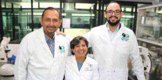 Desarrollan innovador tratamiento contra el cáncer cerebral.
