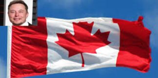 Miles de canadienses buscan quitarle la ciudadanía a Elon Musk .
