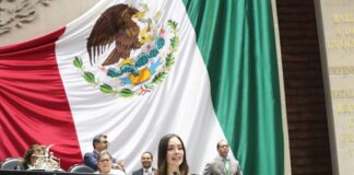 Piden endurecer sanciones contra quienes brinden servicios de salud mental sin tener título profesional