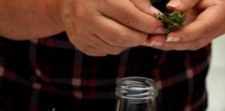 El rescate de la herbolaria veracruzana.