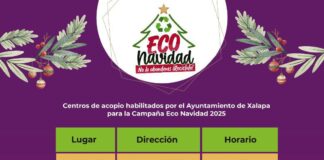 Impulsa Ayuntamiento de Xalapa reciclaje de pinos navideños.