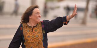 Exitosa y productiva gira de Sheinbaum, aprueba obras estratégicas para Veracruz: Rocío Nahle