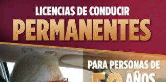 Bienvenidas las licencias PERMANENTES en Veracruz .