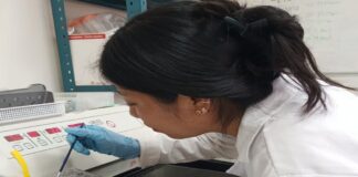 Estudian flavonoides como posible terapia ansiolítica en menopausia.