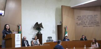 Magistrada Mónica Soto piensa que la SCJN quiere someter o debilitar al Tribunal electoral.