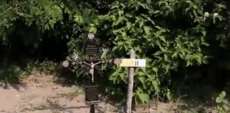 Las mega narcofosas en #Veracruz podrían constituir crímenes de lesa humanidad.