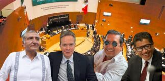 Posponen Ley Nepotismo hasta 2030. Salgado Macedonio, y otros más… los beneficiados