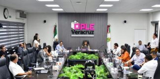 OPLE Veracruz avala coalición parcial de Morena y aliados.