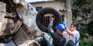 En Xalapa, lucha permanente contra el dengue.