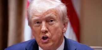 ¿Qué se sabe de la declaración de Trump para que se investiguen a políticos mexicanos?