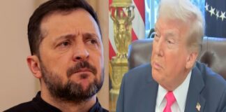 Llamada telefónica entre Trump y Zelenski.