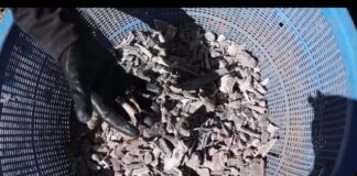 “Le están mintiendo Presidenta”, acusa colectivo madres y Guerreros Buscadores de Jalisco