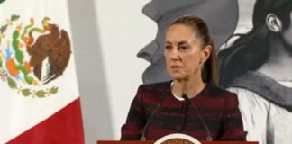 ¿Qué le dijo Claudia Sheinbaum a Bukele tras sus críticas? #Video