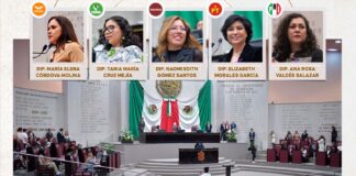 Avala Congreso de Veracruz tipificación de la violencia vicaria.