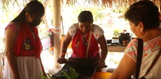 Cumbre Tajín, un encuentro con la cultura y tradición totonaca a través del CAI.