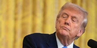 FIP llama a periodistas a atenerse a los principios ante embates de Trump a la prensa: IFJ