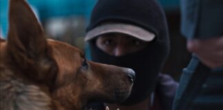 “El ladrón de perros” se lleva la Biznaga de Oro.