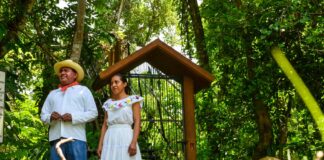 Encanto Olmeca: un viaje a la cultura y naturaleza de Veracruz.