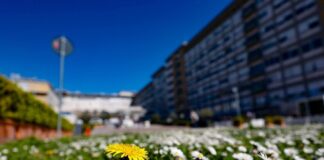 A 33 días de hospitalizado Papa Francisco le suspenden la ventilación mecánica .