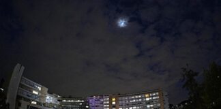 Reportan al Papa Francisco con mejoría consolidada.