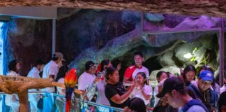 Más de 8 mil visitantes disfrutaron del Martes Gratis en Aquarium del Puerto.