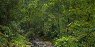 CMAS no desvió cauce del Pixquiac, aclaran.