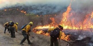 Incendios en Veracruz, cada vez más frecuentes .