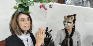 Ambientalistas denuncian contaminación de manantiales por siembra de papa con agrotóxicos.