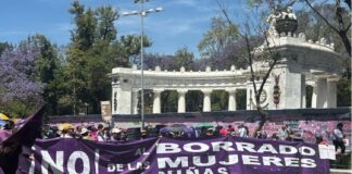 Conferencia Regional sobre la Mujer debe ser un cortafuegos frente a ataques contra la igualdad de género.