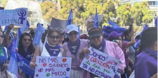 Reparación integral del daño a las víctimas de feminicidio, deuda del Estado mexicano: OCNF.