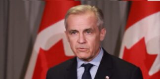 Canadá acusa a Estados Unidos de violar el T-MEC.