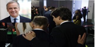 Mark Carney ha sido elegido como el nuevo líder del Partido Liberal.